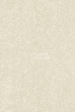 Ковролин AW Gaia Equinox 03 фото 1 | FLOORDEALER